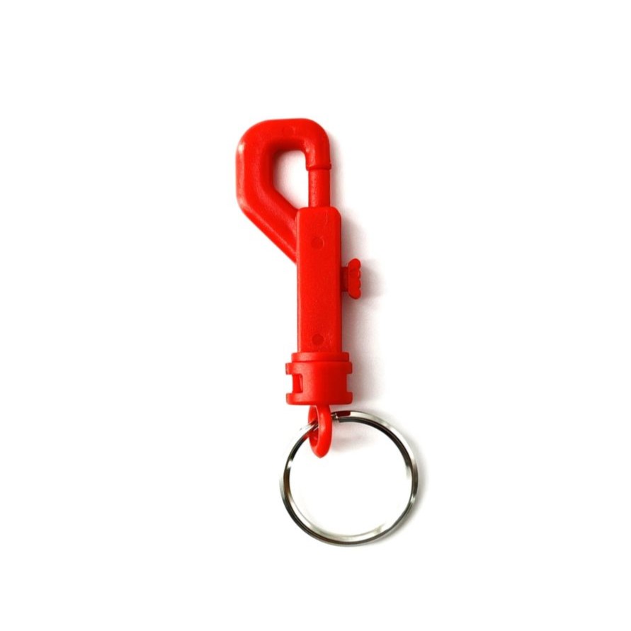 Colored Key Ring